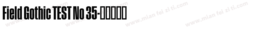 Field Gothic TEST No 35字体转换